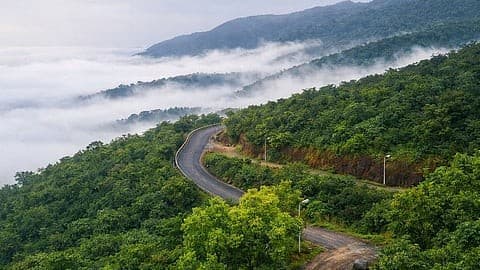 Meghahatuburu hilltop — SAIL garden and Saranda Forest panorama from cloud-touching hill, West Singhbhum, Jharkhand