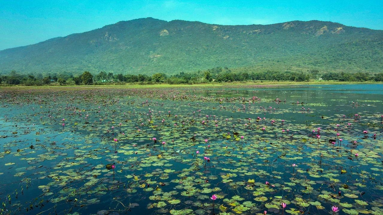 Dimna Lake — reservoir with Dalma Hills forest rising above, Jamshedpur, East Singhbhum, Jharkhand