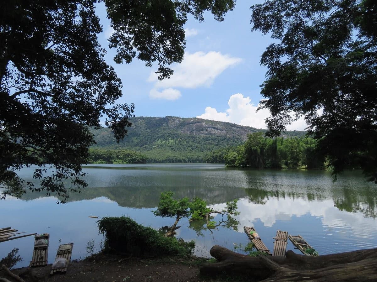 Tholkobad Jungle Trail — old-growth sal forest birdwatching trail in Saranda Forest, West Singhbhum, Jharkhand