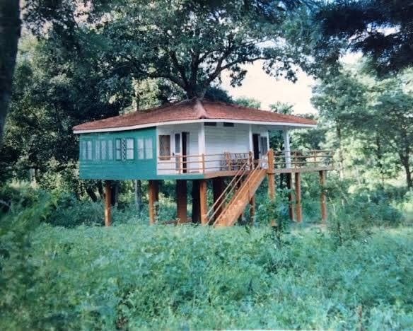Aksi Forest Rest House — North Koel River inside Palamau Tiger Reserve, near Tropic of Cancer, Latehar, Jharkhand